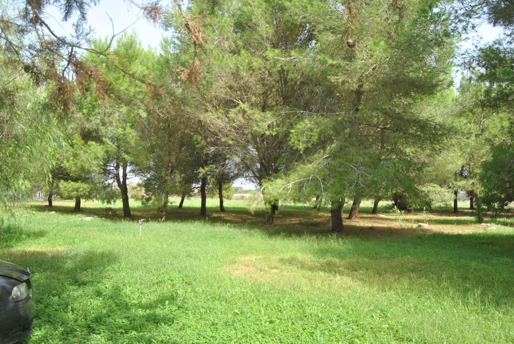 Masseria Frassaniti Veglie Esterno foto